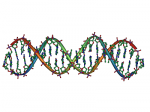 DNA_Overview_GFDL.png